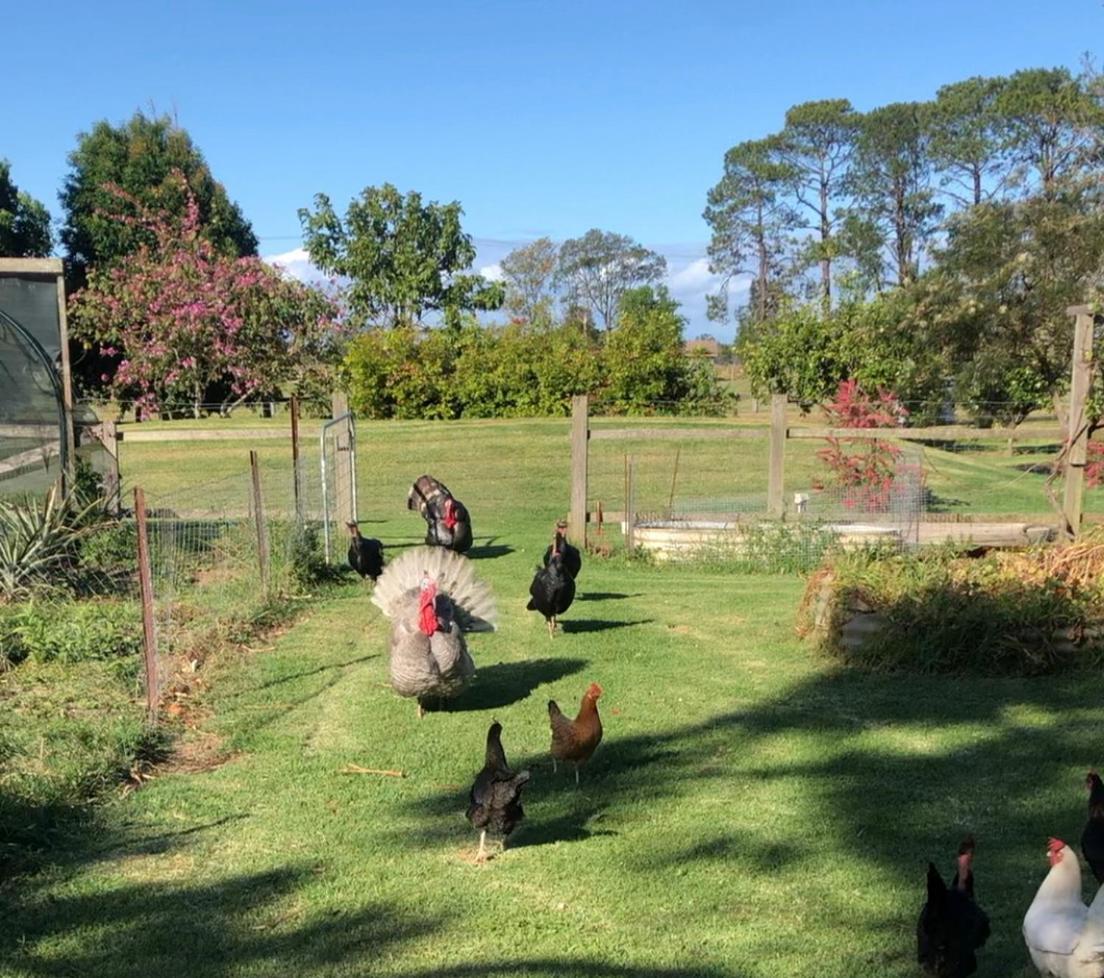 Bird Song Farm Hotel Hat Head Buitenkant foto